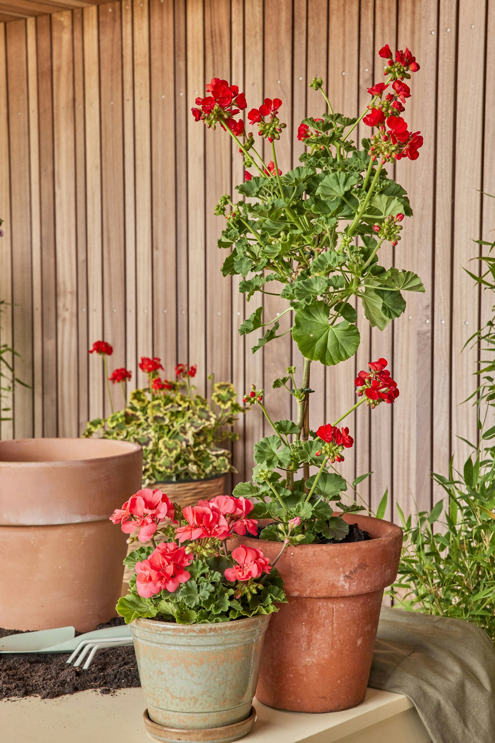 Doorstep pots