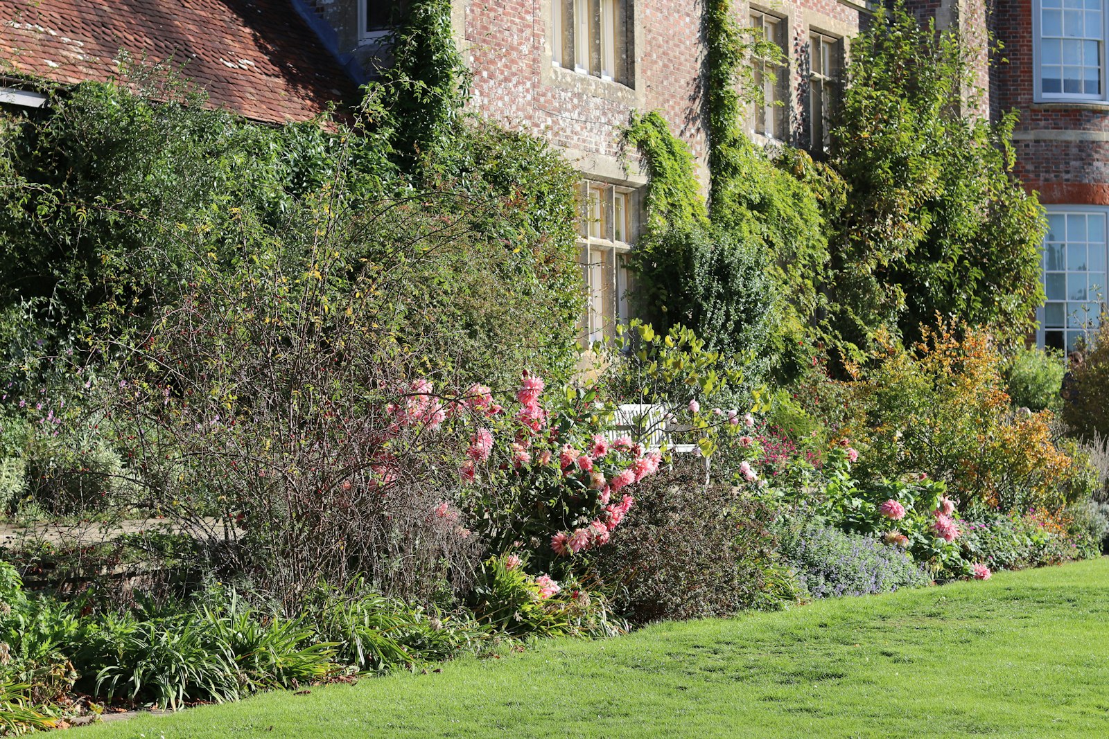 Foxgloves & roses
