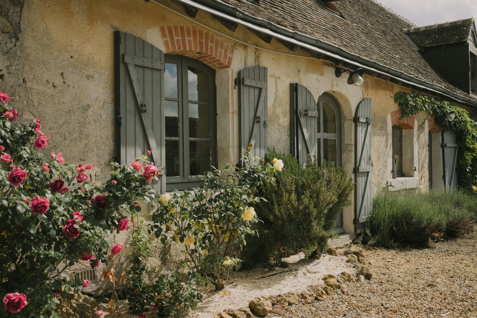 A summer UK cottage garden in full bloom